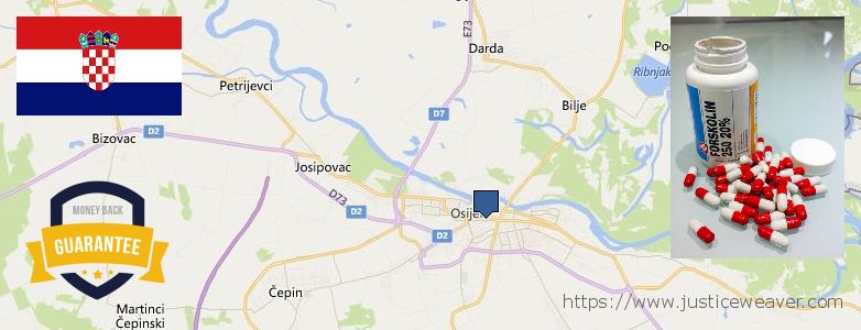 Hol lehet megvásárolni Forskolin online Osijek, Croatia