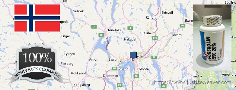 Hvor kjøpe Forskolin online Oslo, Norway