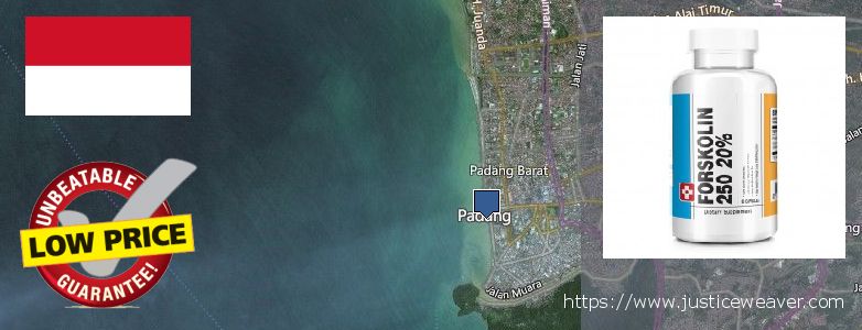 Where to Buy Forskolin Diet Pills online Padang, Indonesia