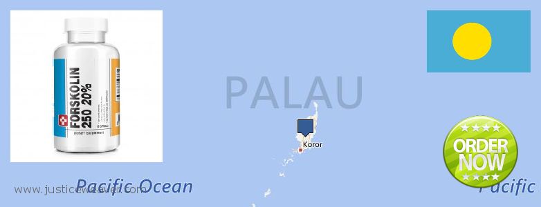 Where to Buy Forskolin Diet Pills online Palau