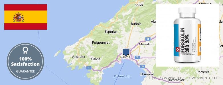 Where to Purchase Forskolin Diet Pills online Palma, Spain