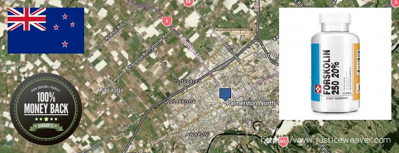 Where Can I Purchase Forskolin Diet Pills online Palmerston North, New Zealand