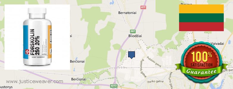 Where to Purchase Forskolin Diet Pills online Panevezys, Lithuania