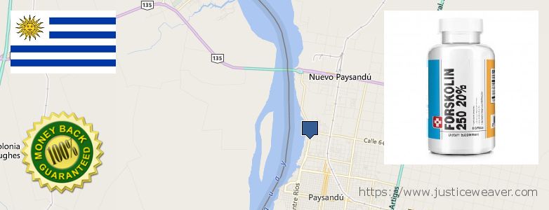 Best Place to Buy Forskolin Diet Pills online Paysandu, Uruguay