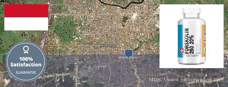 Where to Buy Forskolin Diet Pills online Pekanbaru, Indonesia