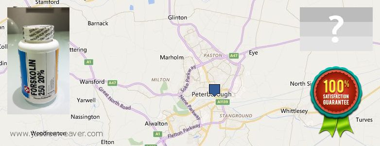 Dónde comprar Forskolin en linea Peterborough, UK