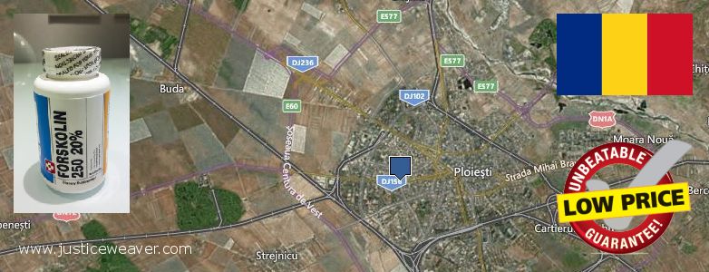 Unde să cumpărați Forskolin on-line Ploiesti, Romania