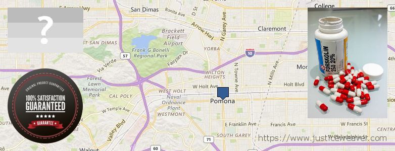 Var kan man köpa Forskolin nätet Pomona, USA