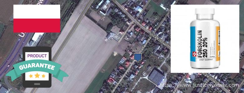 Kur nusipirkti Forskolin Dabar naršo Poznań, Poland