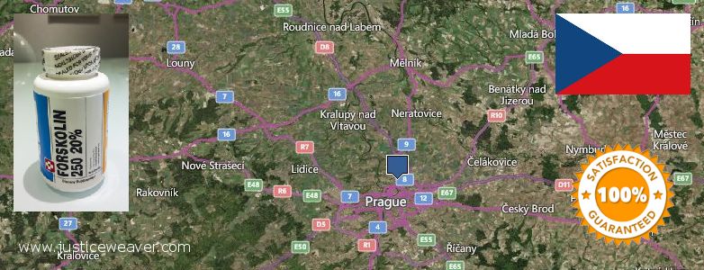 Kde kúpiť Forskolin on-line Prague, Czech Republic