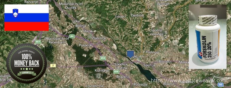 Dove acquistare Forskolin in linea Ptuj, Slovenia