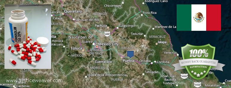 Dónde comprar Forskolin en linea Puebla, Mexico