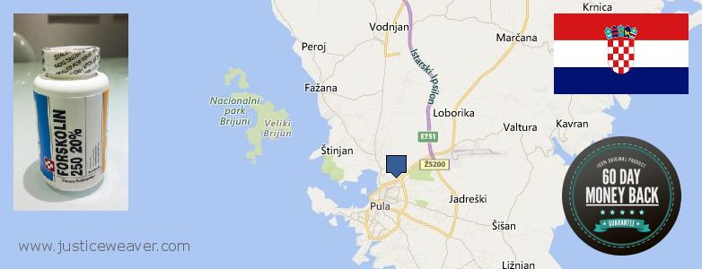 Hol lehet megvásárolni Forskolin online Pula, Croatia