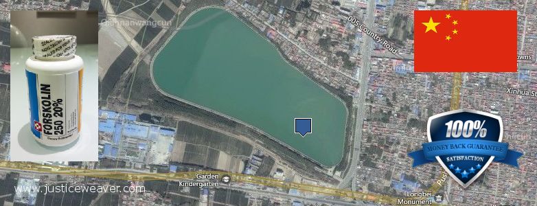 어디에서 구입하는 방법 Forskolin 온라인으로 Puyang, China