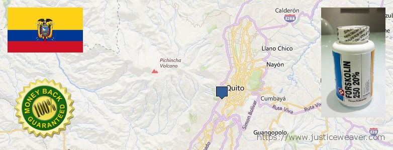 Where to Buy Forskolin Diet Pills online Quito, Ecuador