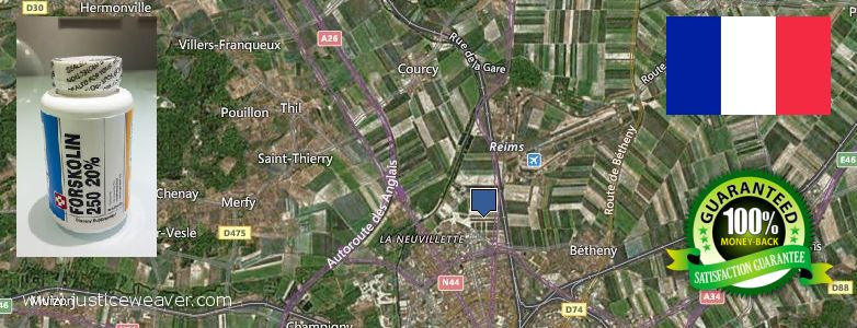 Où Acheter Forskolin en ligne Reims, France