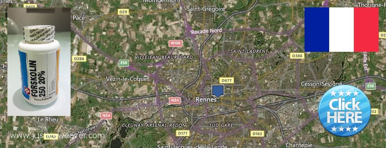 Where Can You Buy Forskolin Diet Pills online Rennes, France