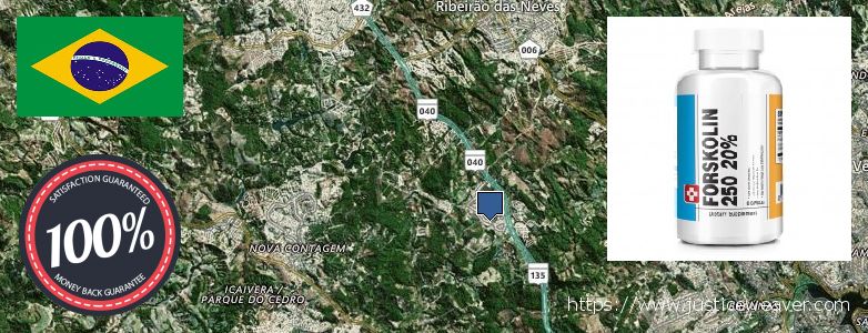 Wo kaufen Forskolin online Ribeirao das Neves, Brazil