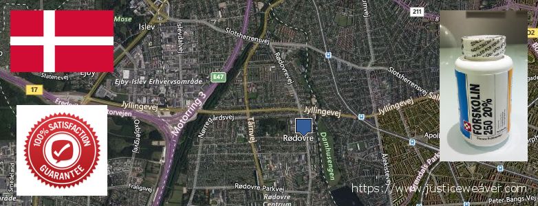 Hvor kan jeg købe Forskolin online Rodovre, Denmark