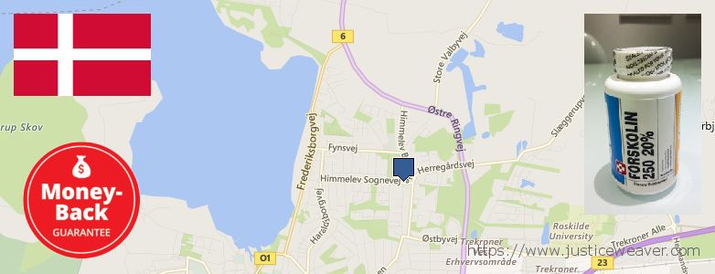 Best Place to Buy Forskolin Diet Pills online Roskilde, Denmark