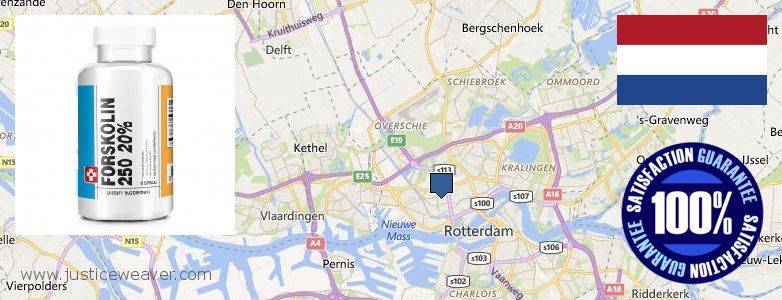 Onde Comprar Forskolin on-line Rotterdam, Netherlands