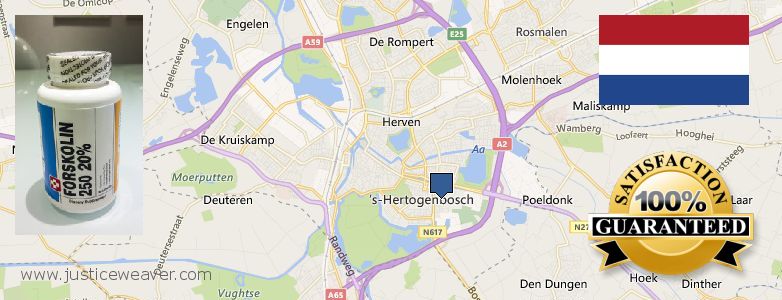 Waar te koop Forskolin online s-Hertogenbosch, Netherlands