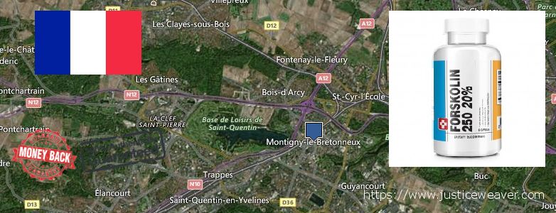 Purchase Forskolin Diet Pills online Saint-Quentin-en-Yvelines, France