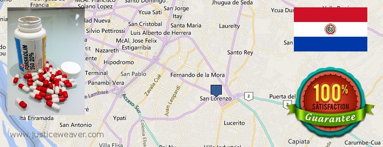 Dónde comprar Forskolin en linea San Lorenzo, Paraguay
