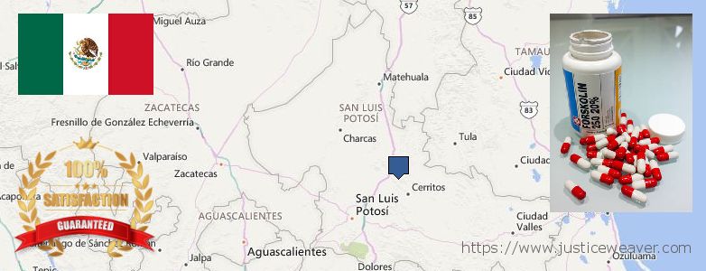 Where to Purchase Forskolin Diet Pills online San Luis Potosi, Mexico