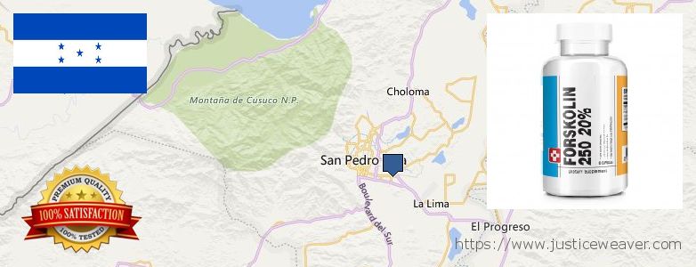 Purchase Forskolin Diet Pills online San Pedro Sula, Honduras Where to Buy Forskolin Diet Pills online San Pedro Sula, Honduras