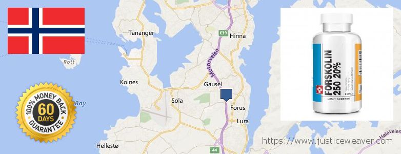 Where to Purchase Forskolin Diet Pills online Sandnes, Norway