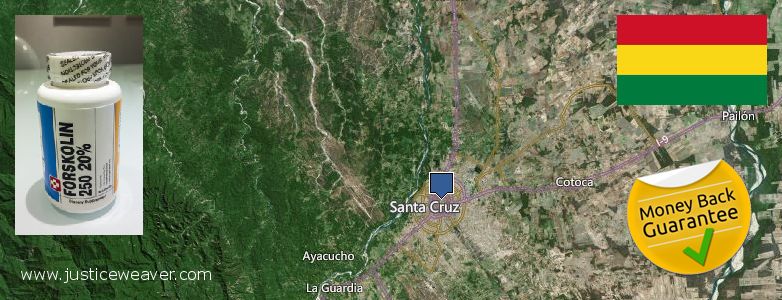 Where to Buy Forskolin Diet Pills online Santa Cruz de la Sierra, Bolivia