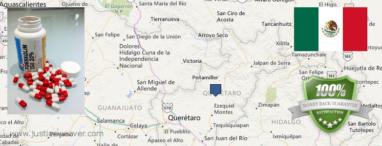 Buy Forskolin Diet Pills online Santiago de Queretaro, Mexico Where to Purchase Forskolin Diet Pills online Santiago de Queretaro, Mexico