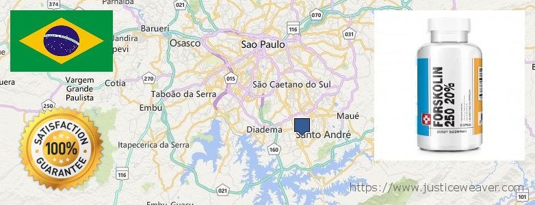 Wo kaufen Forskolin online Sao Bernardo do Campo, Brazil