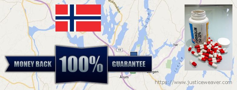 Best Place to Buy Forskolin Diet Pills online Sarpsborg, Norway