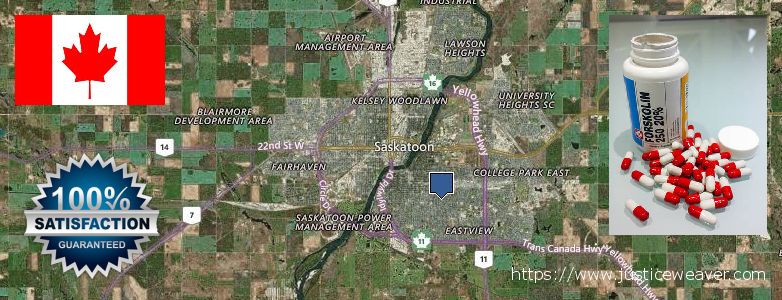 Where to Buy Forskolin Diet Pills online Saskatoon, Canada