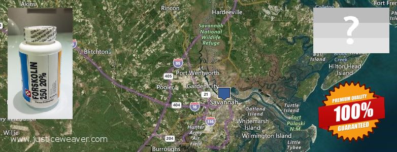 Waar te koop Forskolin online Savannah, USA