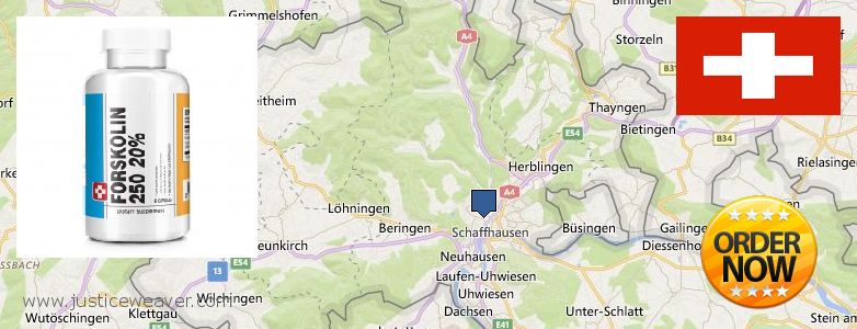 Best Place to Buy Forskolin Diet Pills online Schaffhausen, Switzerland
