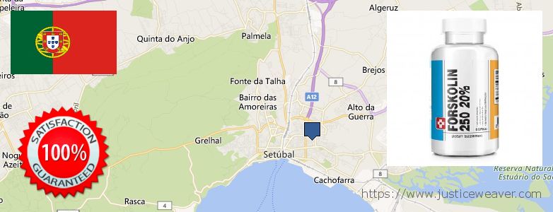 Where to Buy Forskolin Diet Pills online Setubal, Portugal