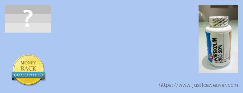 Где купить Forskolin онлайн Severnyy, Russia