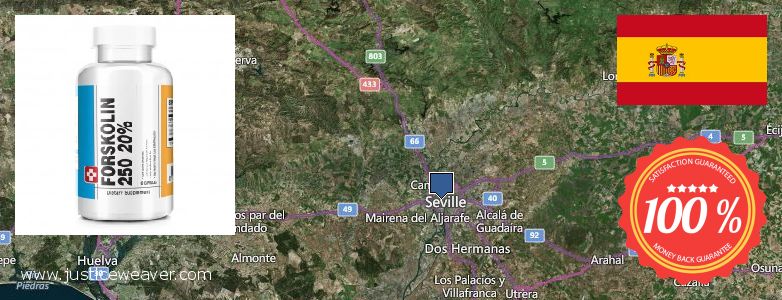 Comprar Forskolin en línia Sevilla, Spain on comprar Forskolin en línia Sevilla, Spain