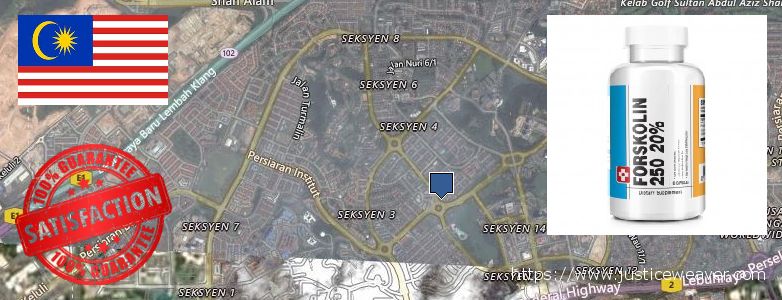 Where to Buy Forskolin Diet Pills online Shah Alam, Malaysia