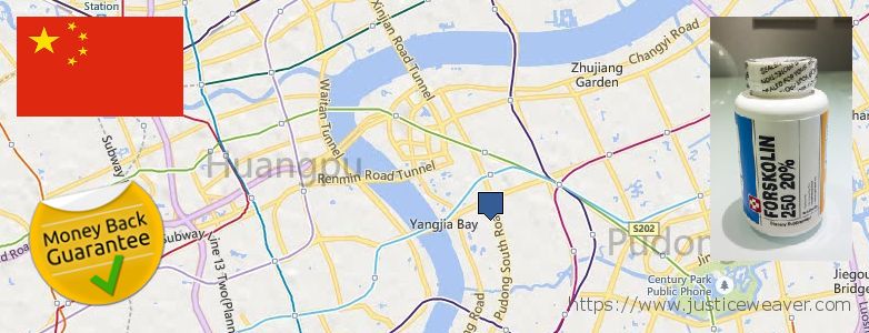 Purchase Forskolin Diet Pills online Shanghai, China Where to Buy Forskolin Diet Pills online Shanghai, China