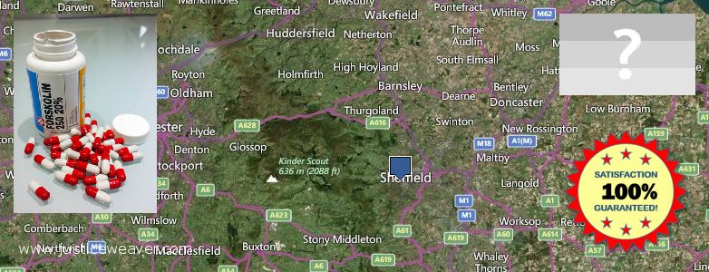 Where to Buy Forskolin Diet Pills online Sheffield, UK