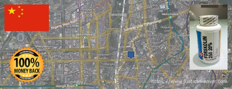 어디에서 구입하는 방법 Forskolin 온라인으로 Shenzhen, China