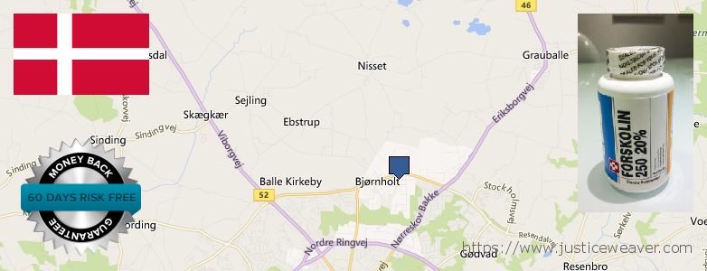 Wo kaufen Forskolin online Silkeborg, Denmark