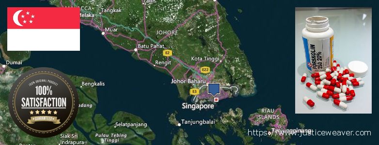 Where to Buy Forskolin Diet Pills online Singapore
