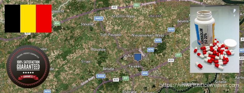Waar te koop Forskolin online Sint-Niklaas, Belgium