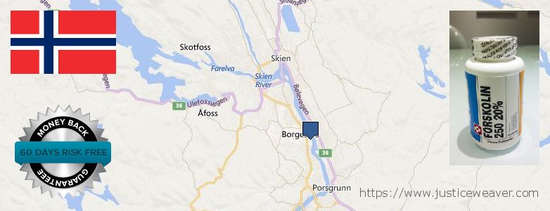 Jälleenmyyjät Forskolin verkossa Skien, Norway
