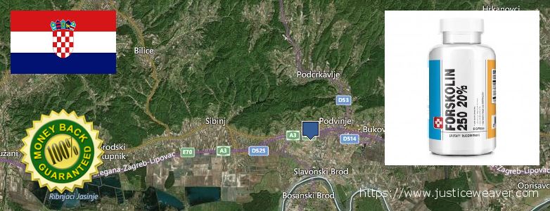 Де купити Forskolin онлайн Slavonski Brod, Croatia